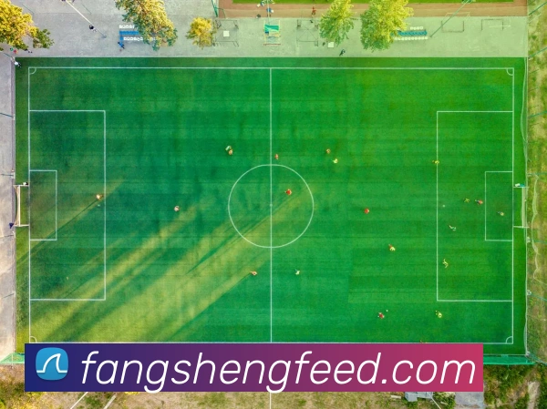 奖项3